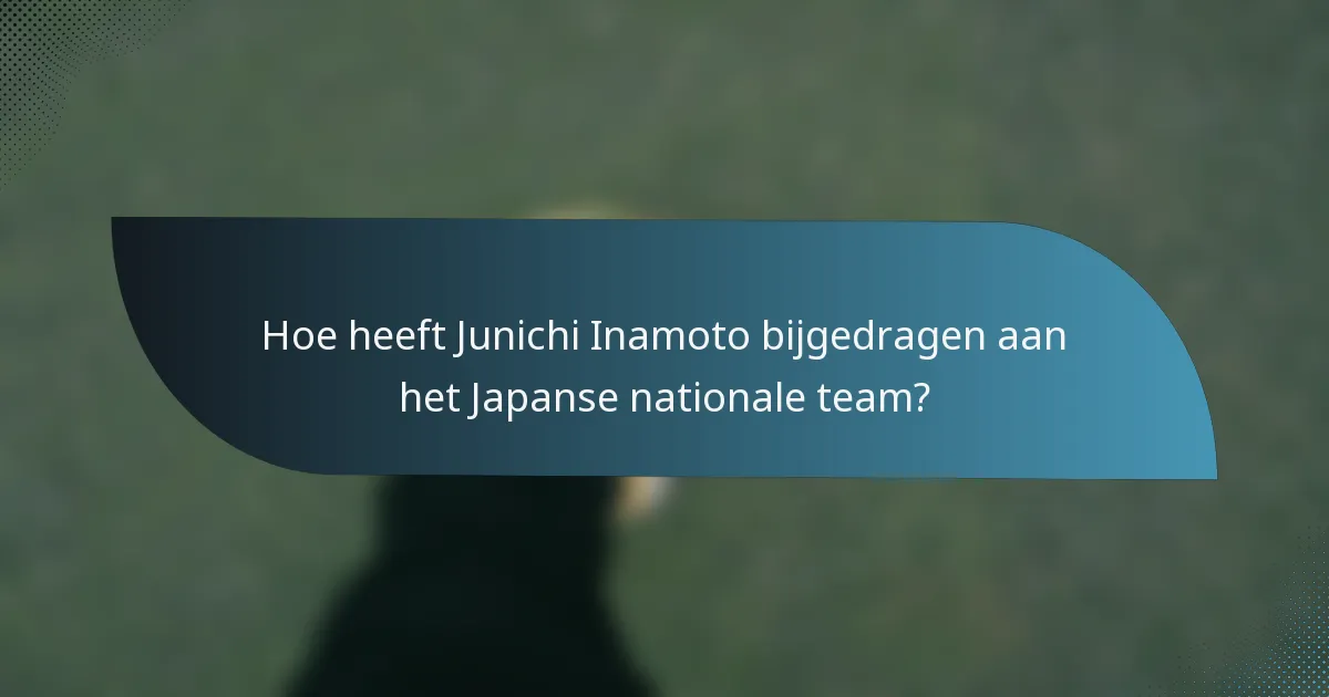 Hoe heeft Junichi Inamoto bijgedragen aan het Japanse nationale team?