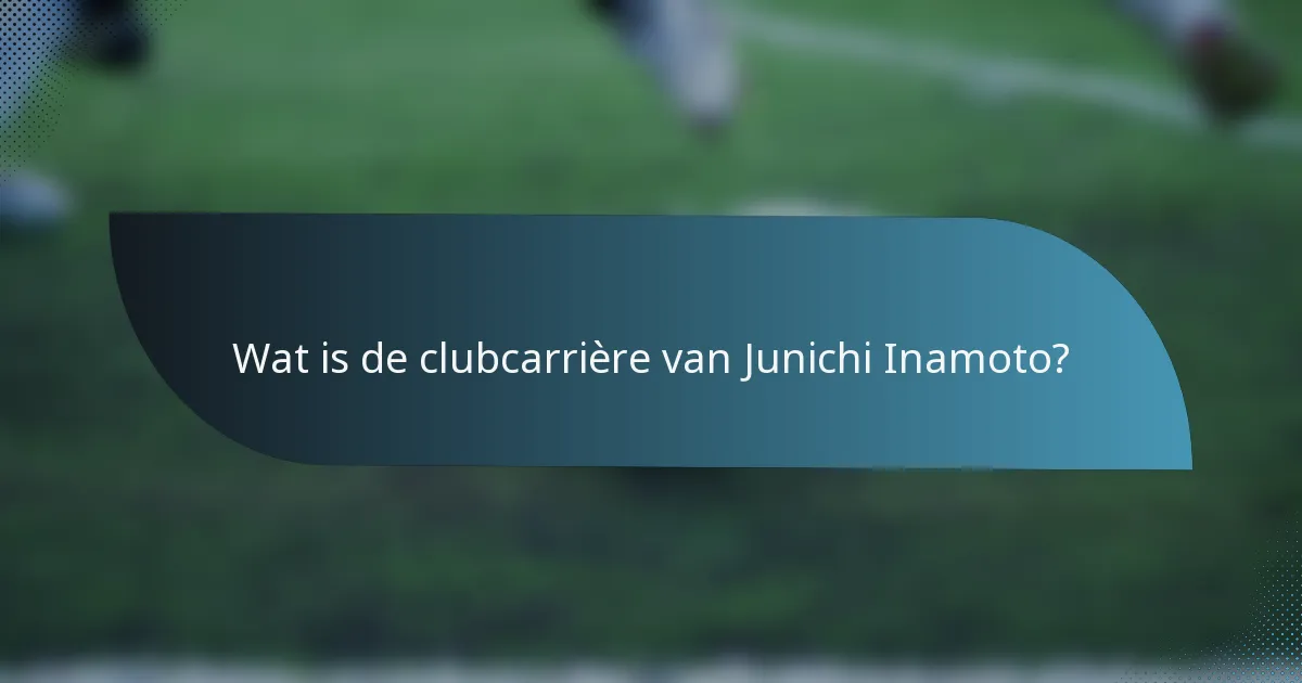 Wat is de clubcarrière van Junichi Inamoto?