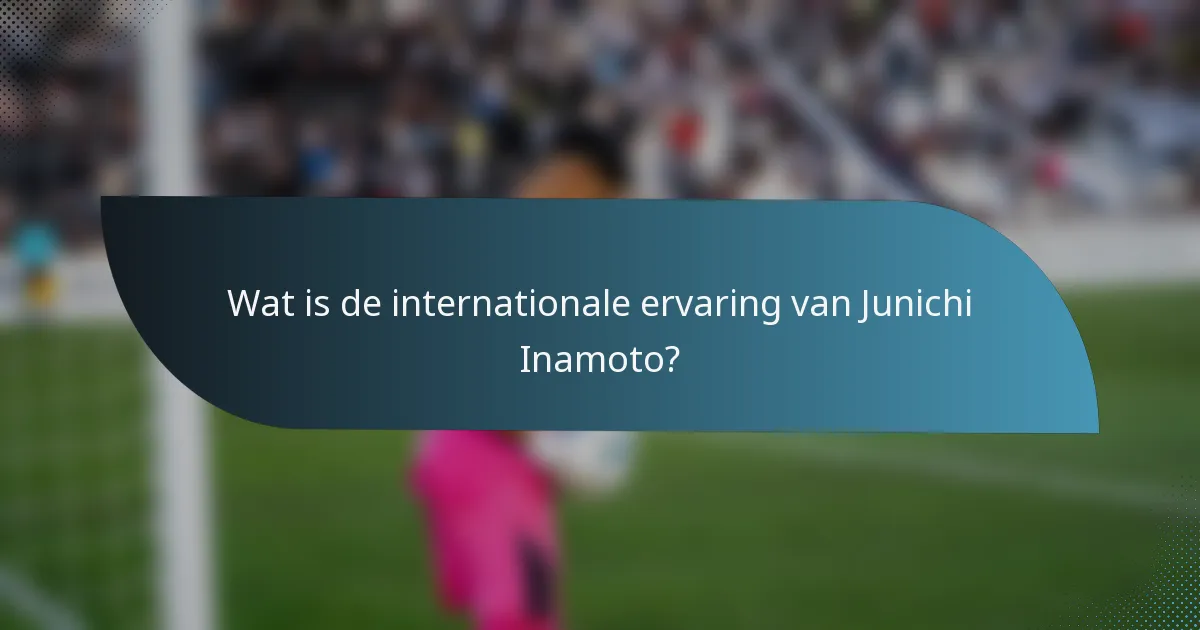 Wat is de internationale ervaring van Junichi Inamoto?