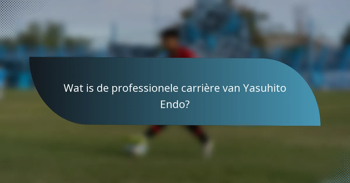 Wat is de professionele carrière van Yasuhito Endo?